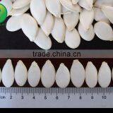 Online Shopping Hong Kong Highly Quality Pumpkin Seed thumbnail-3