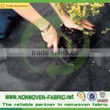 PP Landscape Fabric Weed Control Fabric pp Ground Cover thumbnail-5