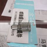 Used In Chongqing Pump CB-BH6H120YAY920,F924 delivery valve