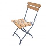 Palm Polywood Folding Chair