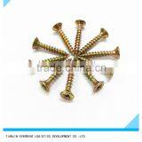 All Size Brass Plated Screws Pozidriv Head Fine Thread Drywall Screws thumbnail-4