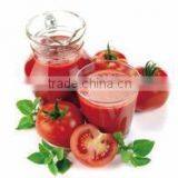 Whole Line of Tomato Paste Production Machines