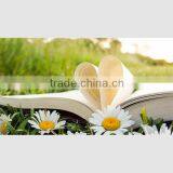 Top Quality Case Bound Sewing Binding English Literature Book thumbnail-6