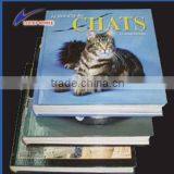 Color Printing Factory Book Magazine Printing Service