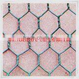 Hexagonal Wire Mesh/Chicken Wire Netting