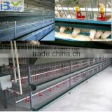 2013 hot-sell H type automatic poultry cages