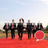 Red Nylon Cut Pile Wedding Washable Entrance Carpet Tiles thumbnail-1