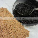 Wheat Roasting Services thumbnail-1