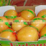 Fresh Honey Pomelo Factory for Sale thumbnail-4