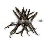 Vanilla Beans thumbnail-1