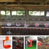 Hot Sale Poultry Farm Machinery Automatic Chicken Breeding Equipments Feeders and Drinkers For Farming Broiler Birds thumbnail-3
