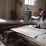 CORE VENEER DRYER IN VIETNAM WITH GREAT PRICE thumbnail-1