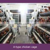 Chicken Wire for Bird Cage/chicken Cage for Sale in Philippines/chicken Transport Cage thumbnail-1