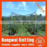 100% New Hape Monofilament Hail Net for Protect Plant