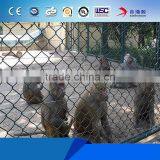 10'x10'x6' Chain Link Dog Cage thumbnail-4