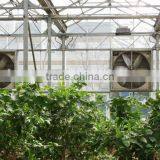 Agricultural Used Exhaust Fan/Cooling Fan/Greenhouse Fan For Sale thumbnail-2
