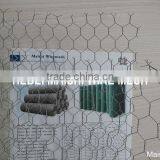 Poulty Mesh for Bird