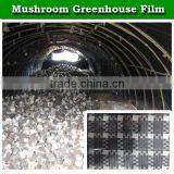 PE Plastic Film Products for Mushroom Tunnel / Greenhouse Film for Shade Crops thumbnail-3