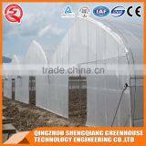 Multifunction Plastic Film Greenhouse for Vegetables Planting,flowers,culture thumbnail-1
