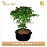1/2/3/5/7/10/15/20/25/30 Gallon Non Woven Fabric Pot Plant Grow Bags thumbnail-2