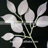 Banyan Leaves. Artificial Banyan Leaves. Ficus Tree Plants thumbnail-3