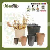Decorative Garden Bonsai Pot for Room Decoration/lightweight/strudy and Durable/eco-friendly thumbnail-1