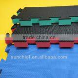 Non-toxic, Anti-slip EVA Exercise Mat - Gym Mat thumbnail-2