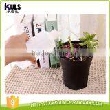 Meaty Plant Extrusion Type Plastic Kids Watering Can thumbnail-3
