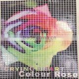 Cusotm Colorful Beaty Rose Flower Laser Cut Engraving Design Iron On Nailhead Metal Transfer Design For T-shirt thumbnail-1