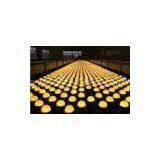 High Efficiency SMD 10 Watt E27 LED Bulb G65 240V , 6700K 850lumen