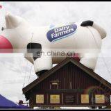 Best Price Custom Inflatable Cartoon Chicken Outdoor Advertising Promotional Chicken For Sale thumbnail-2