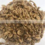 Hand Dyed Teeswater Locks in Peach for Felting and Spinning Loop Yarn for Hand Knitting thumbnail-2