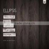 HTML 5 Website Design thumbnail-4