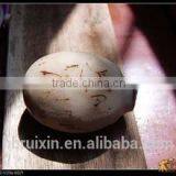 Best Selling Well-regulated Flat Wood Rasp Files ,wood Cuting