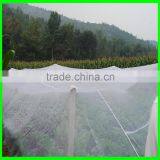 Lightweight Greenhouse Anti Insect Net for Agriculture thumbnail-5