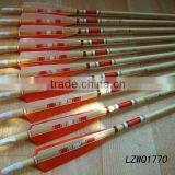 Feather Arrows LZWQ1770