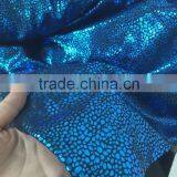 Lycra Swimwear Fabric Fish Scale thumbnail-4