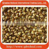 Salted Fried Fava Beans
