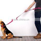 Running Epoxy Sticker Pet Dog Leash Wholesale thumbnail-5