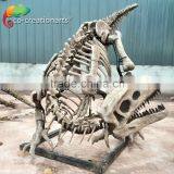 Artificial Fiberglass Dinosaur Skeletal Model