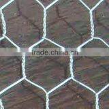 Best Quality 1/4 Inch Galvanized Chicken Wire Mesh
