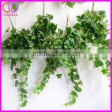 Important of Ornamental Plant thumbnail-1
