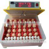 Family Use Eggs Incubator 36 Solar Powered Chicken Eggs Incubator thumbnail-4