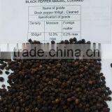 VIETNAM BLACK PEPPER BEST PRICE thumbnail-3
