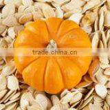 PUMPKIN SEEDS thumbnail-6