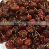 Bell Chilli From India thumbnail-6