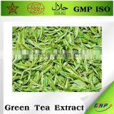 BNP Professional Supplier Organic Green Tea Extract thumbnail-4