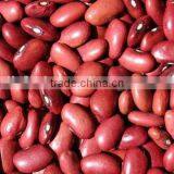 Red Kidney Bean thumbnail-1