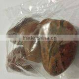 Kola Nuts thumbnail-1