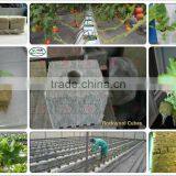 Hydroponic Rockwool Starter Cubes for Seed Starter Growing Media